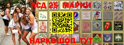 мдпв Владимир