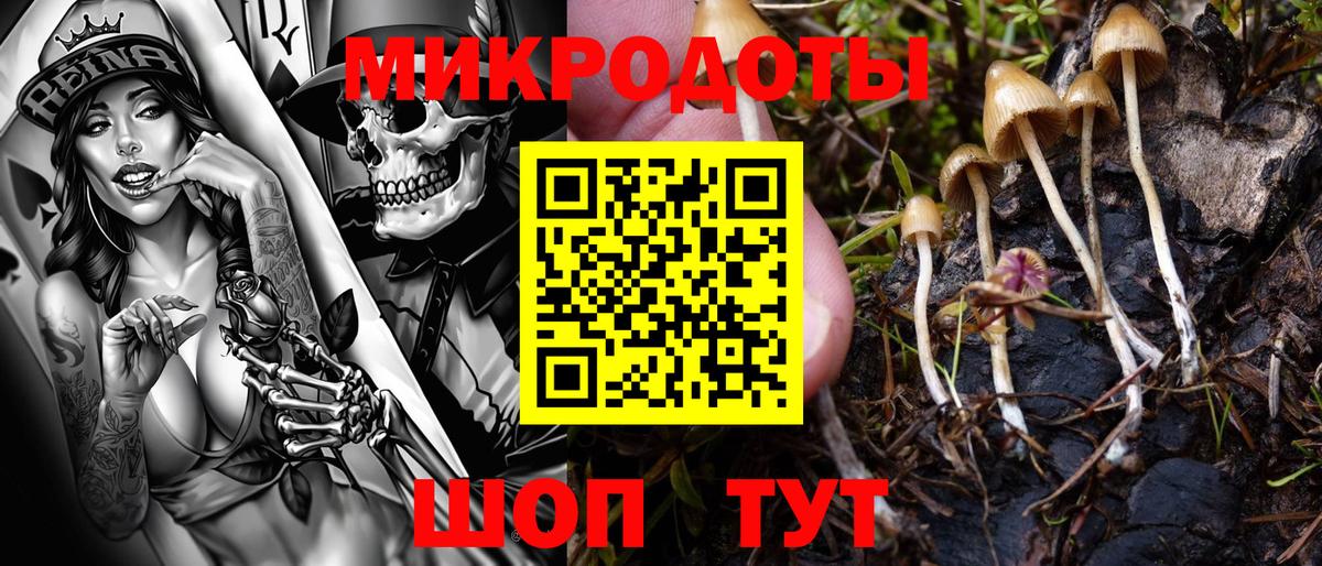 Новодвинск  Псилоцибиновые грибы прущие грибы  Галлюциногенные грибы Magic Shrooms  Вход с VPN 