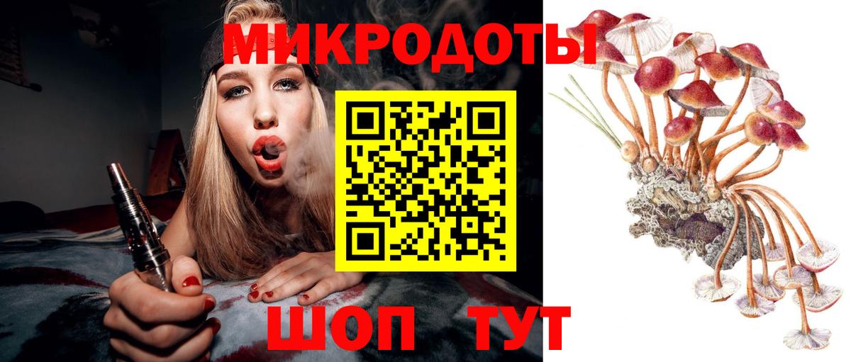Псилоцибиновые грибы GOLDEN TEACHER Новодвинск